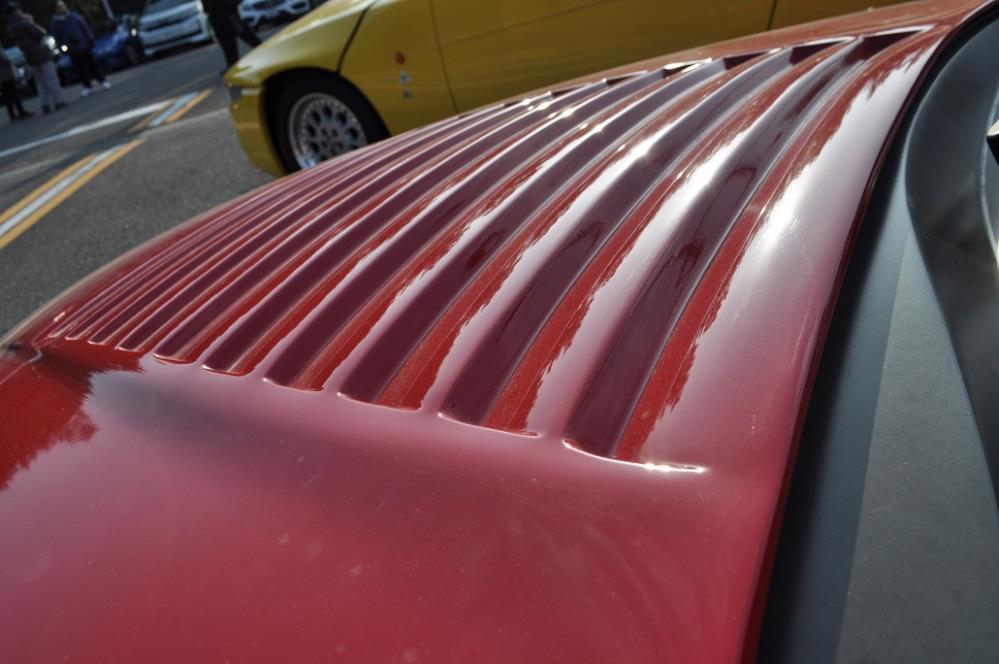 180121MAIKO (30).JPG